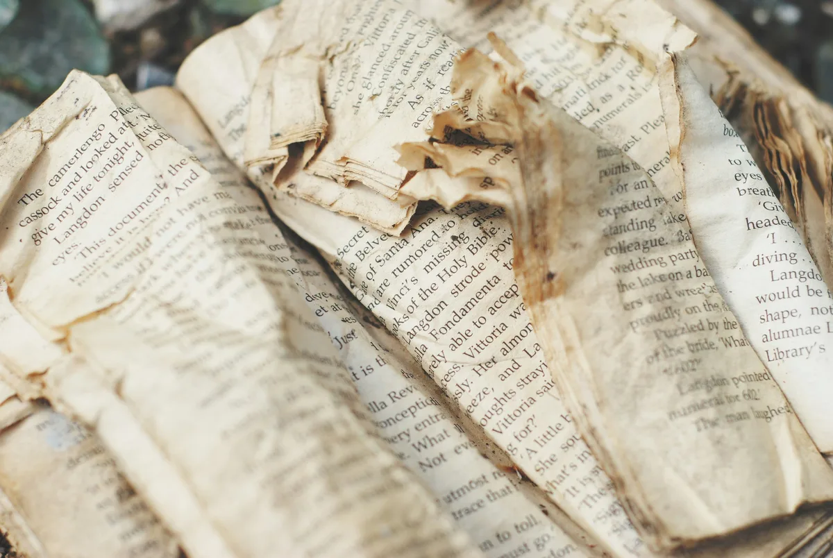 The swollen, water-stained pages of an old book, torn and curling where the damp got in.
