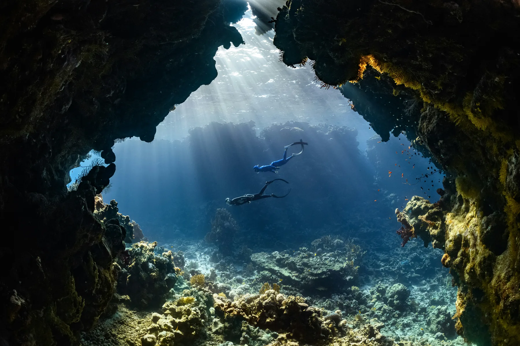 Open blue water stretching toward soft light, calm and unbroken.