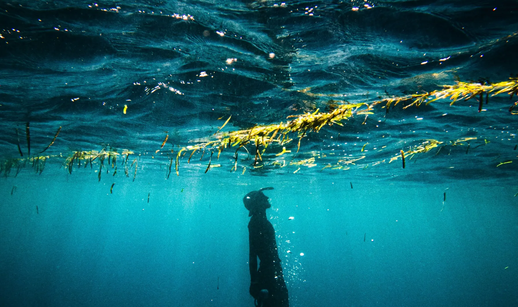 A diver rises slowly toward the sunlit surface through deep blue water.